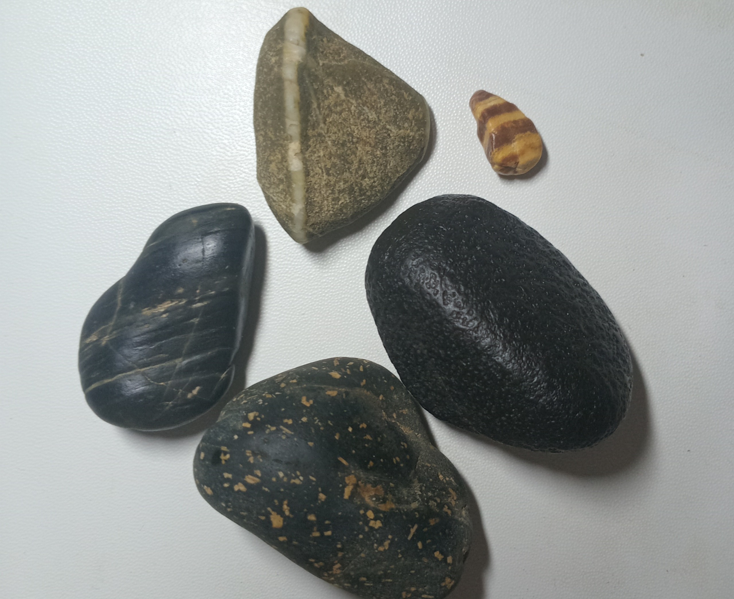 سنگ کلکسیونی نو