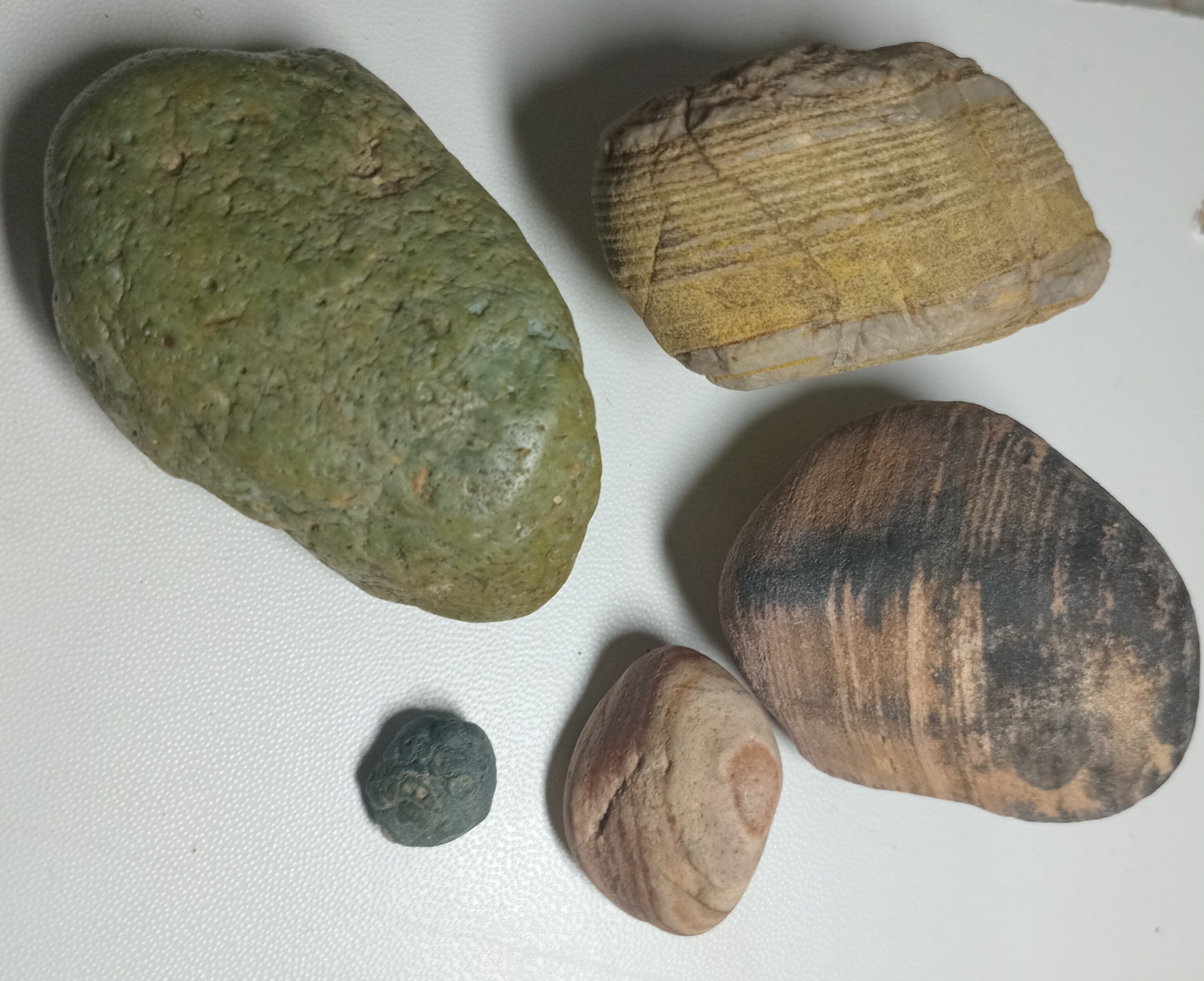 سنگ کلکسیونی نو