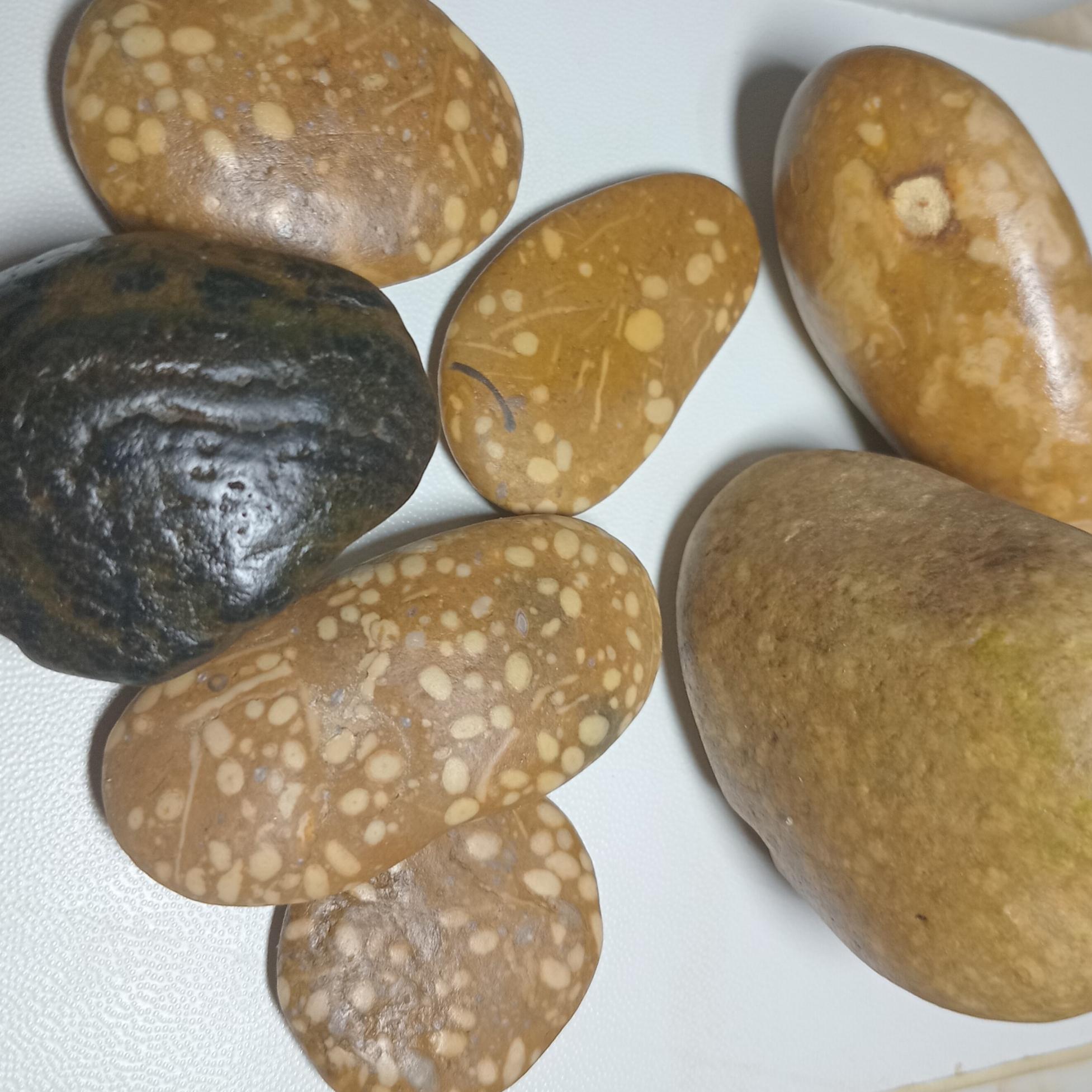 سنگ کلکسیونی نو