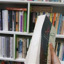 حقیقت
