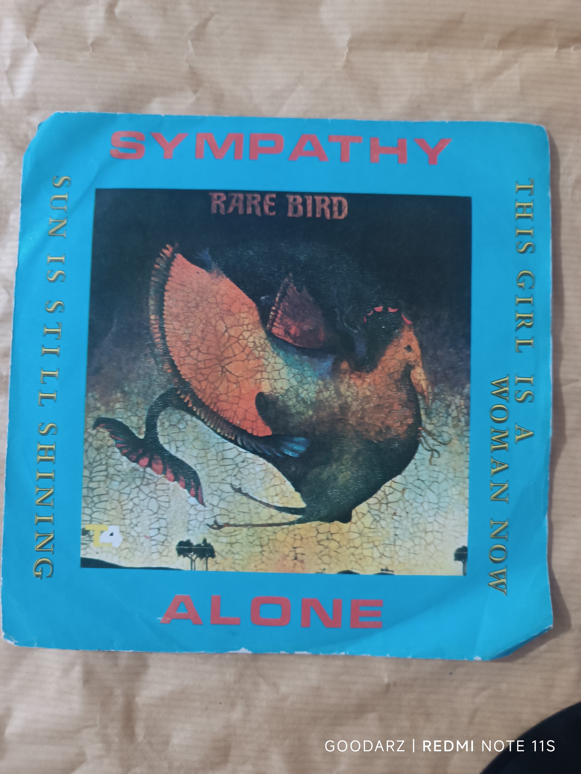 صفحه گرام  , RARE  BIRD   {sympathy , alone ,,,}