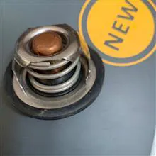ترموستات