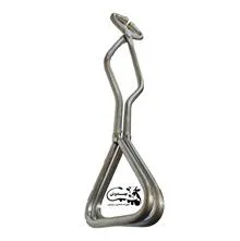 دماغ