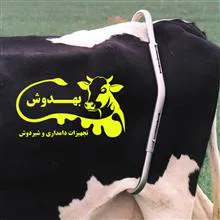 لگد