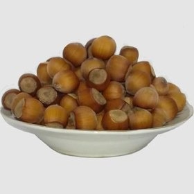 فندق تازه چین اشکورات