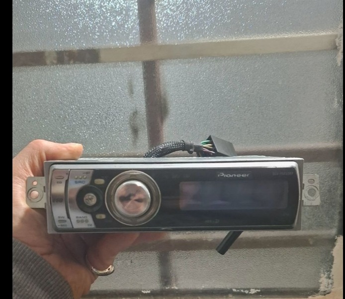 ضبط پایونیر دمو دار زیبا