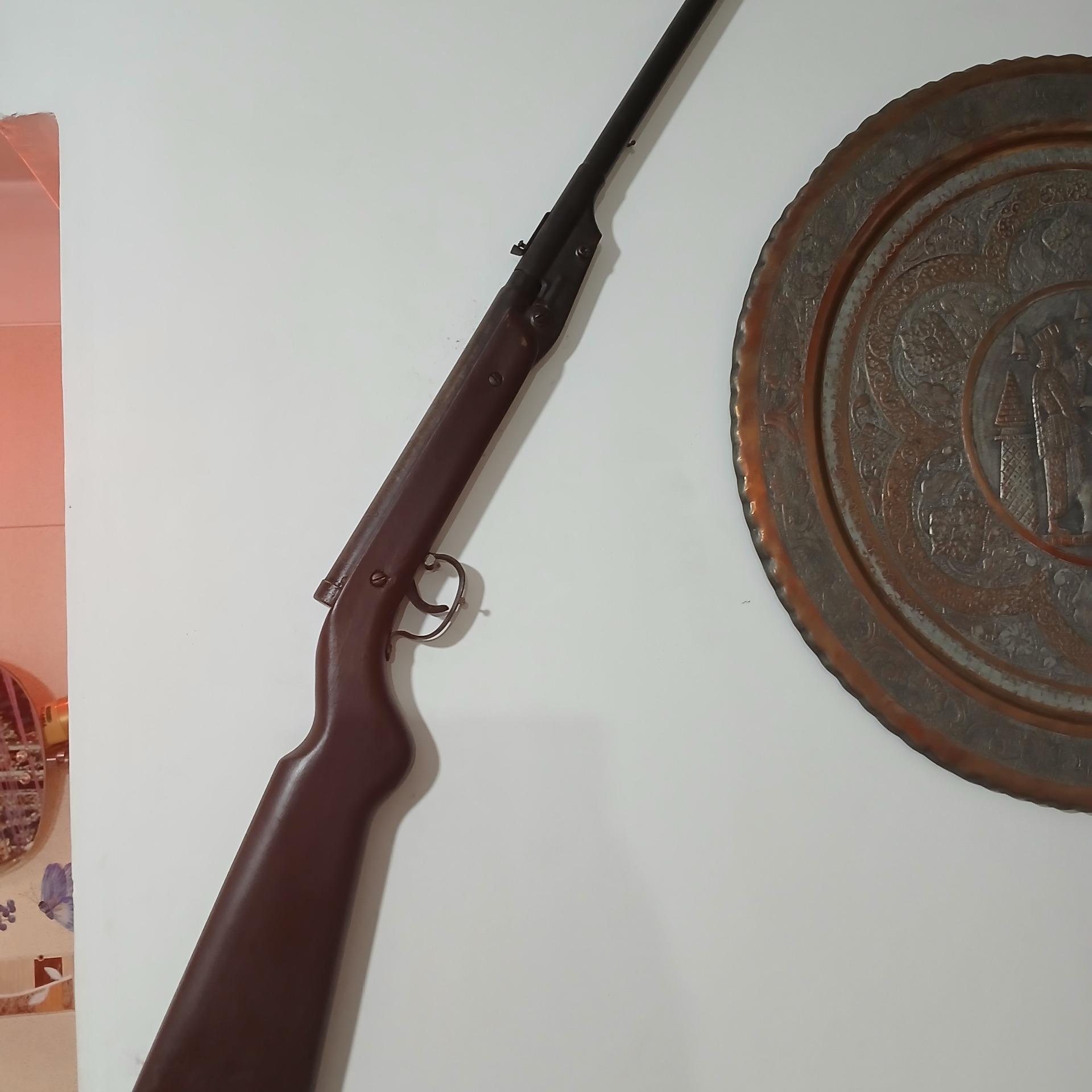 تفنگ بادی دیانا