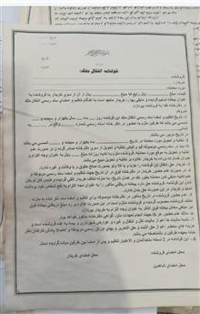 قولنامه