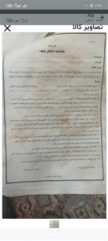 قولنامه