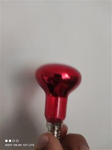لامپ