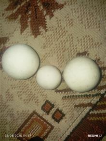 سنگ