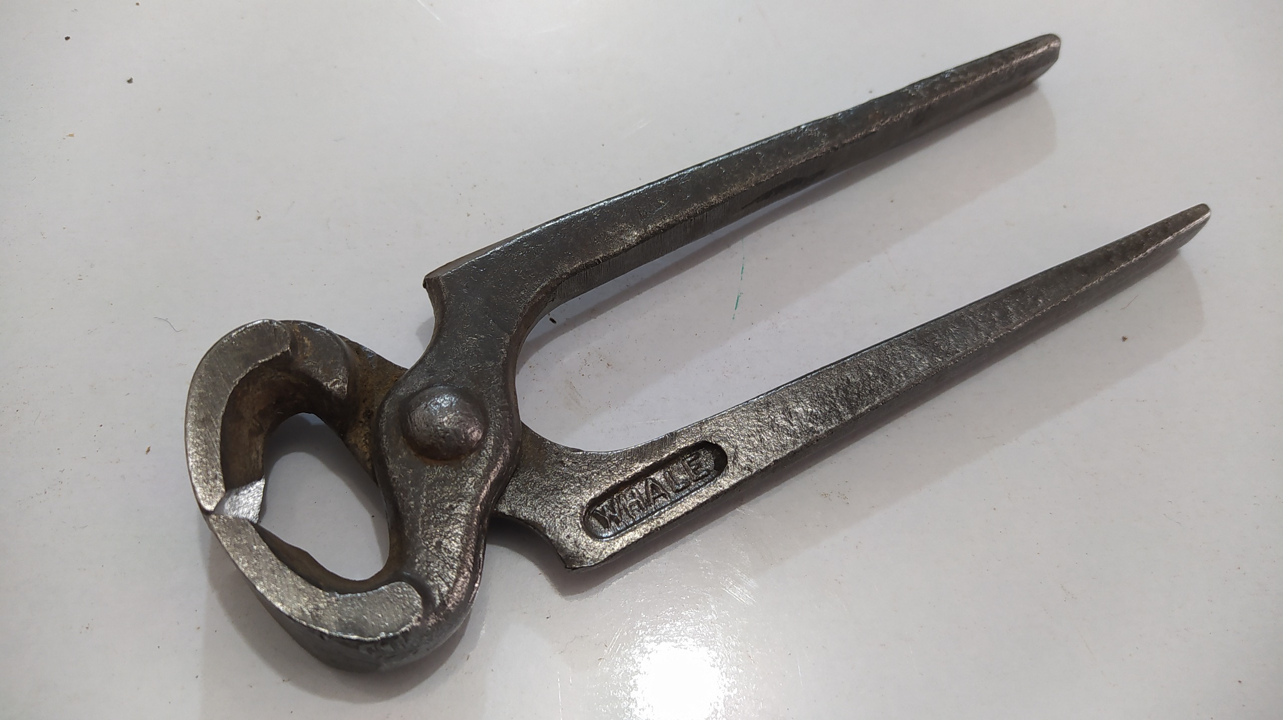 گاز انبر کوچک و زیبای 6 اینچ WHALE