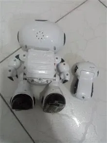 ربات