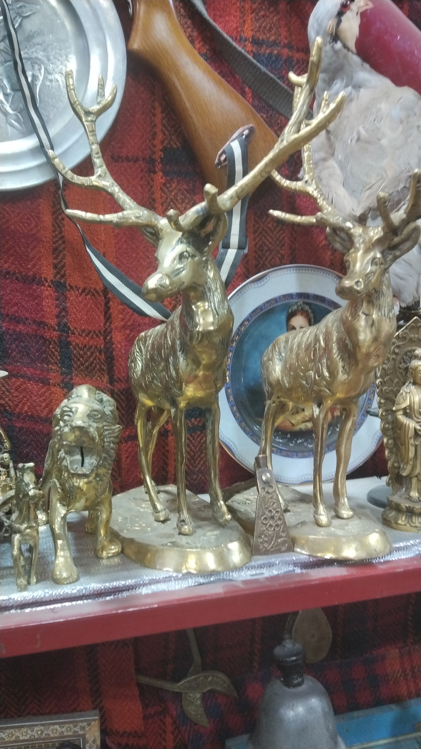 دوگوزن. بسیاربزرگ برنجی