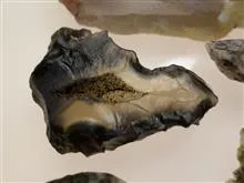 مجموعه