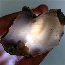 مزایده