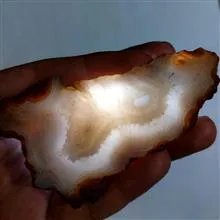 مزایده