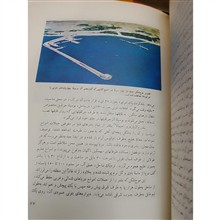 دنیای