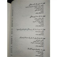 نظریه