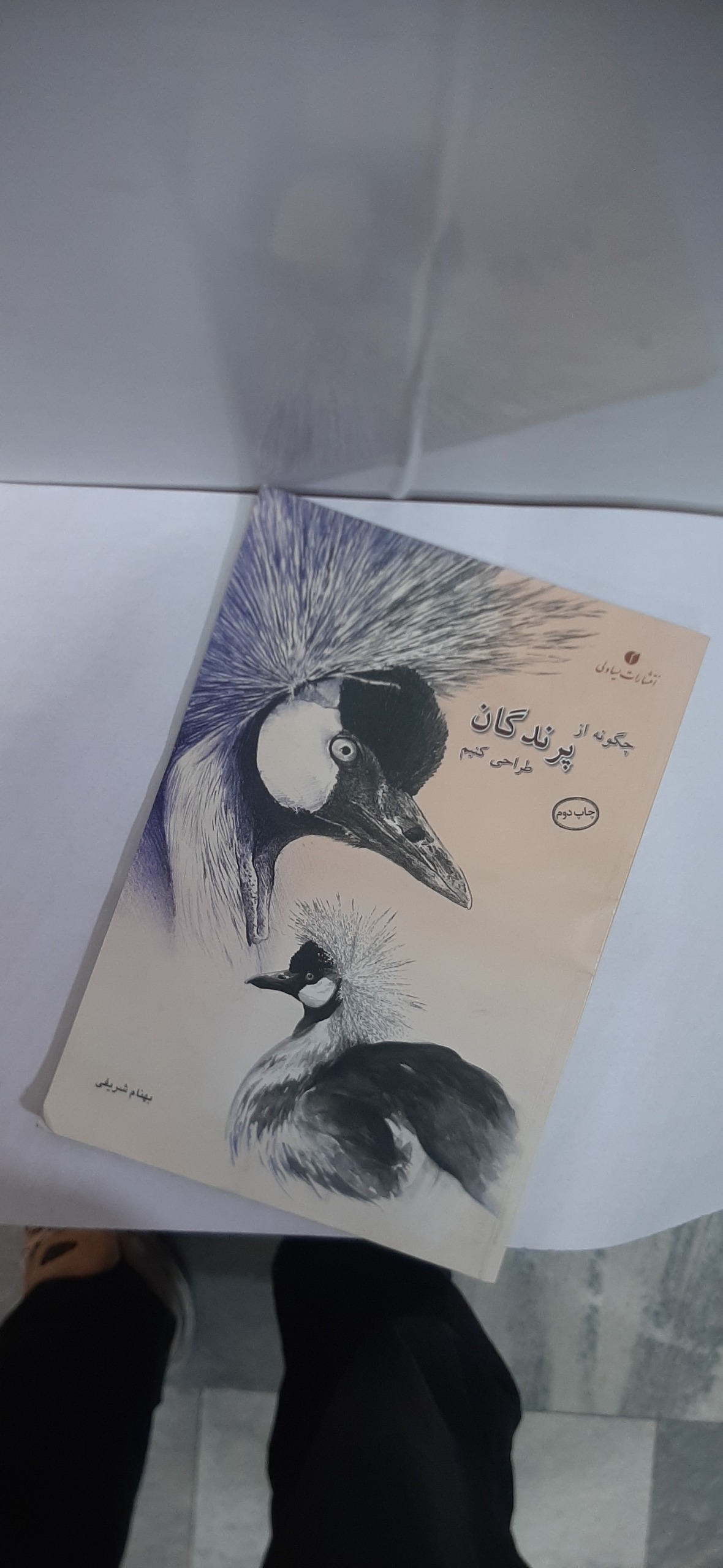 چگونه از پرندگان طراحی کنیم