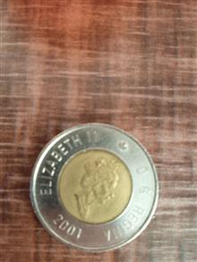 سکه
