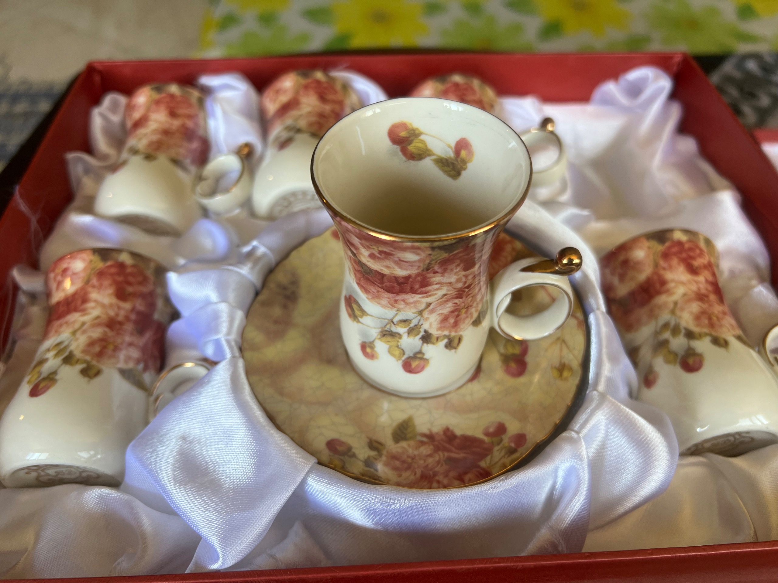 ظروف پذیرایی لمونژ (Limoges) فرانسه
