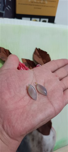 گردن