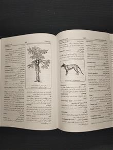 فرهنگ