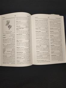 فرهنگ