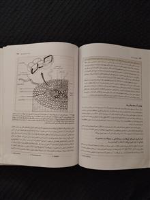 فیزیولوژی