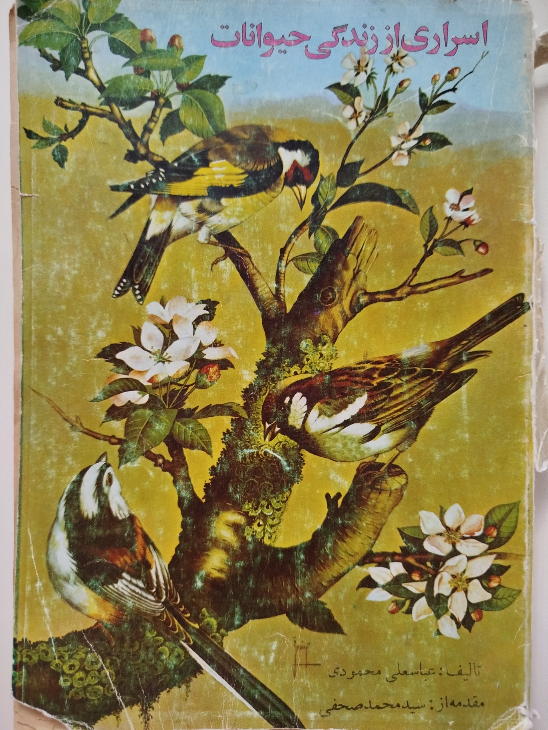اسراری از زندگی حیوانات (عباس علی محمودی)