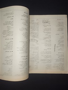 دنیای
