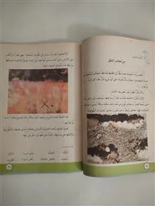 عربی