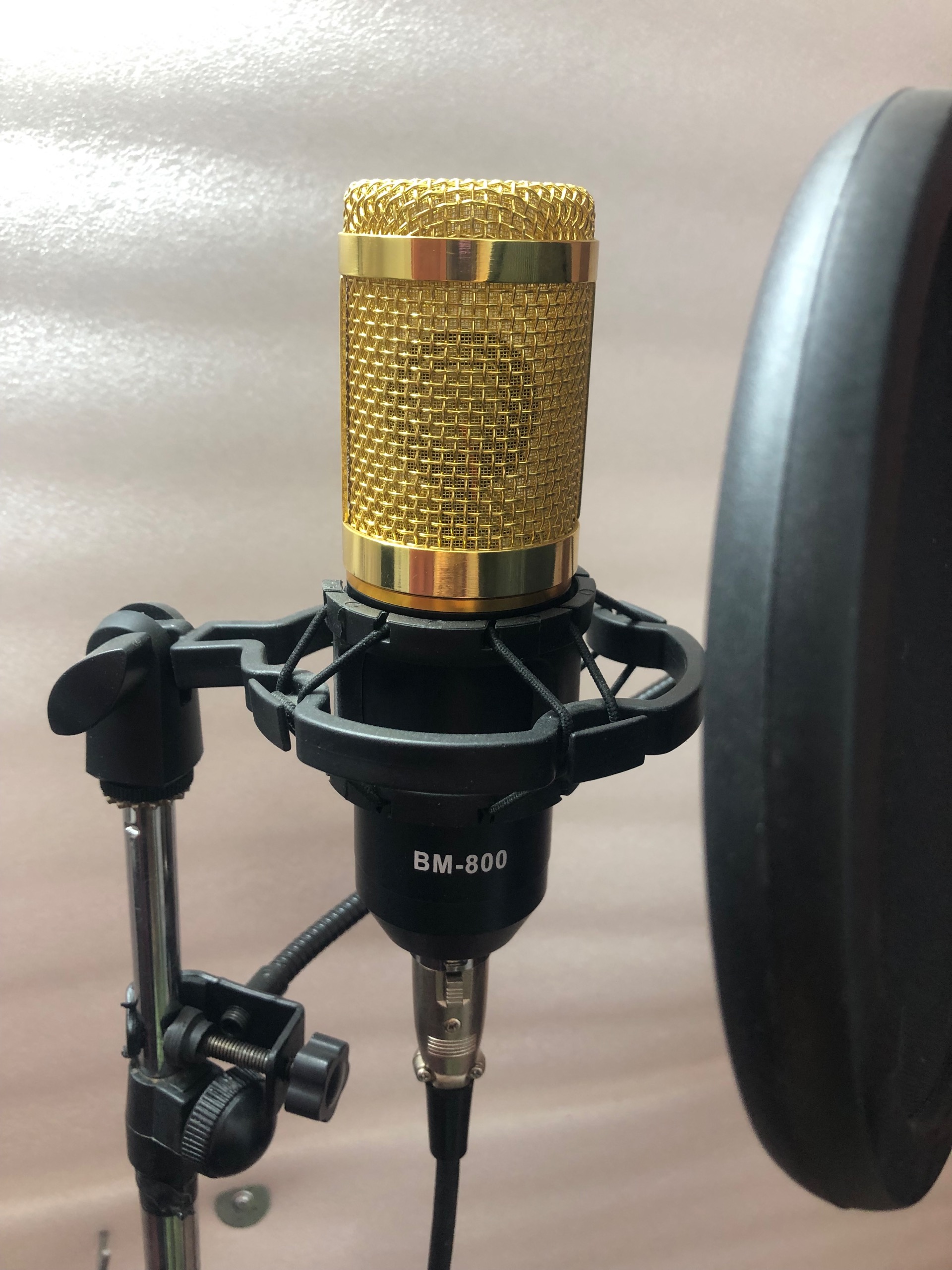 میکروفون استودیویی BM800