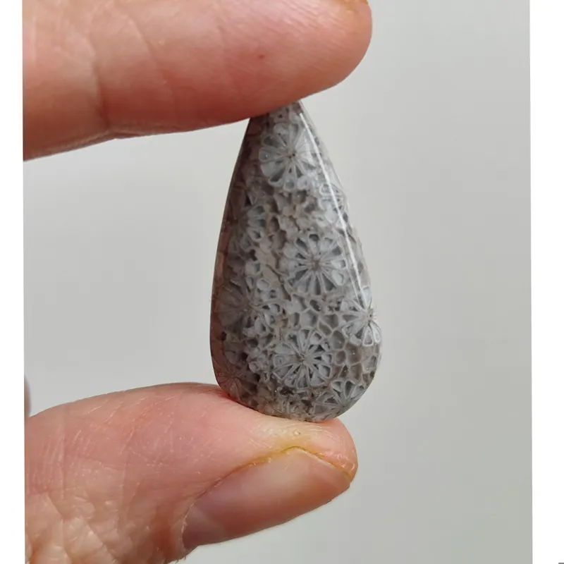 نگین فسیل مرجان