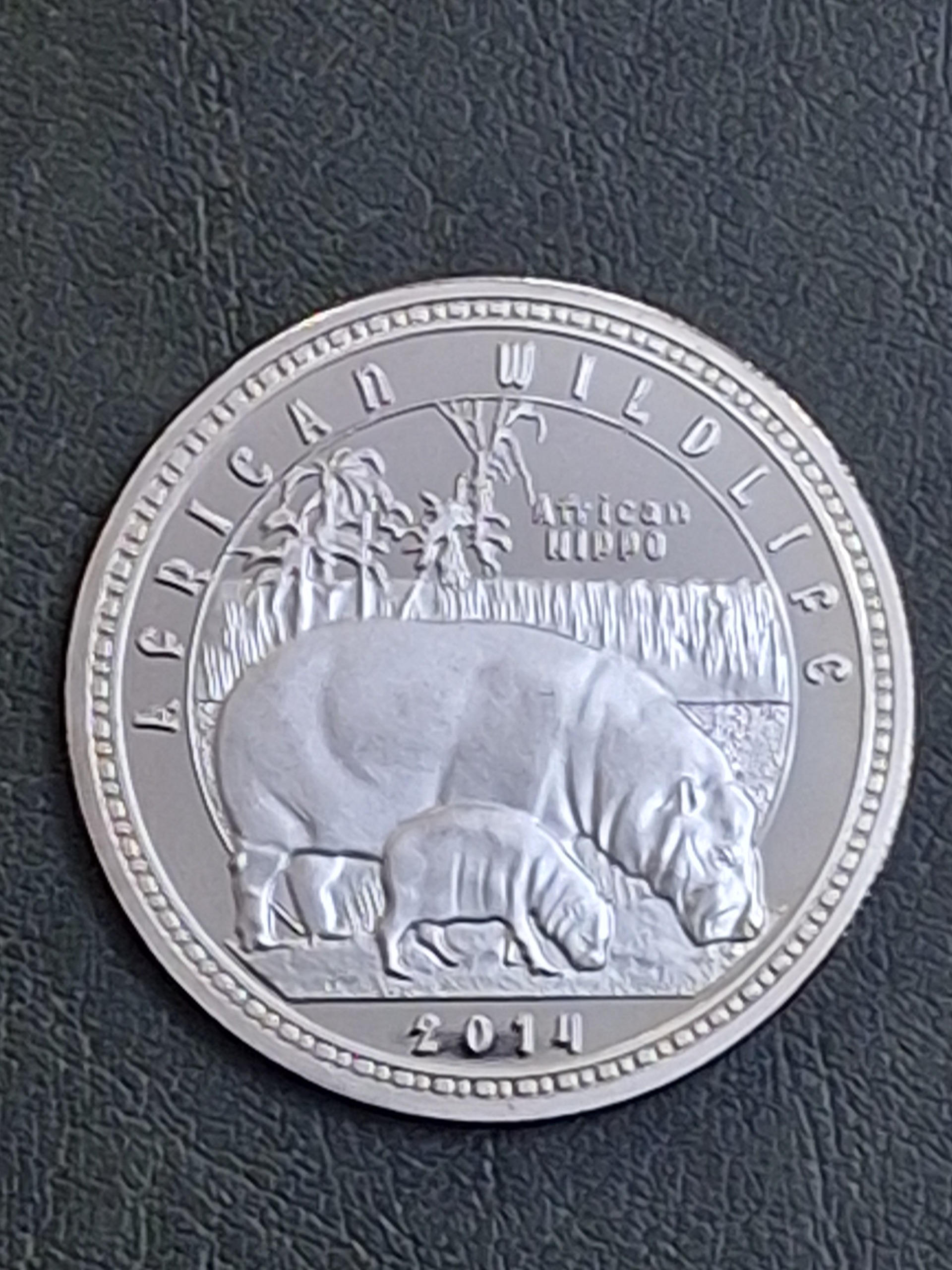 سکه حیات وحش - اسب آبی