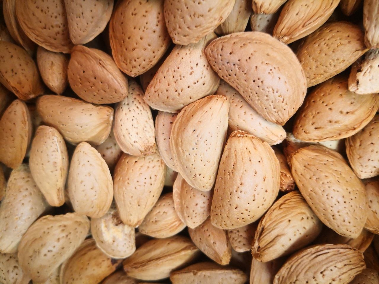 بادام مامایی سامان
