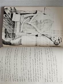 فانوسی