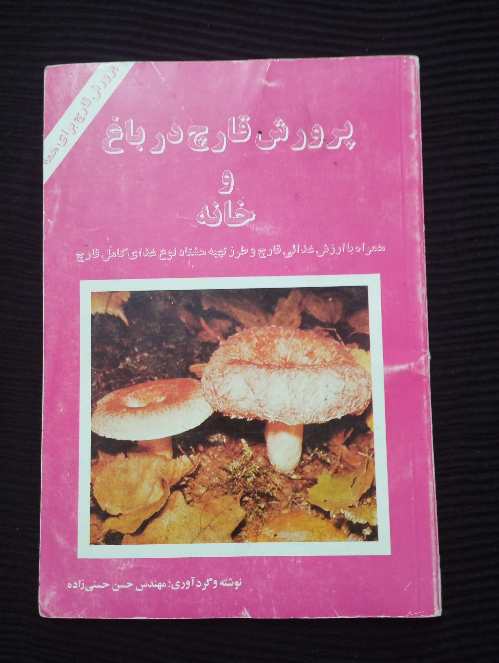پرورش قارچ خوراکی در باغ و خانه