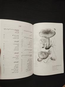 پرورش