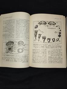 مبانی