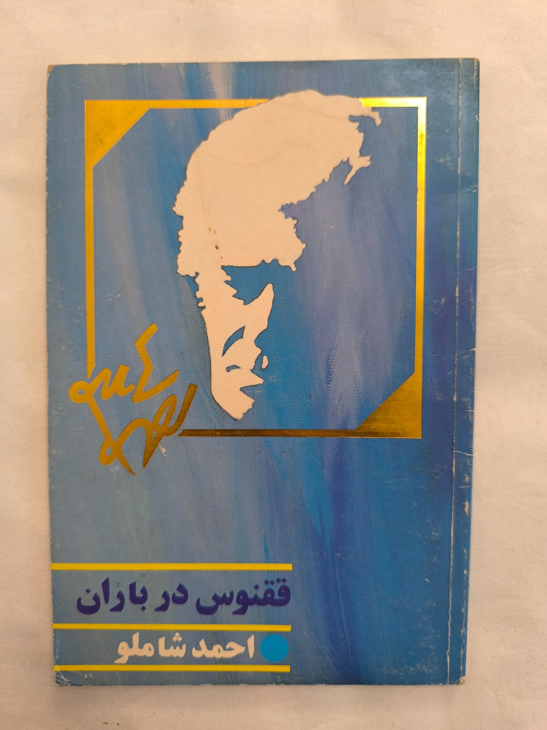 ققنوس در باران