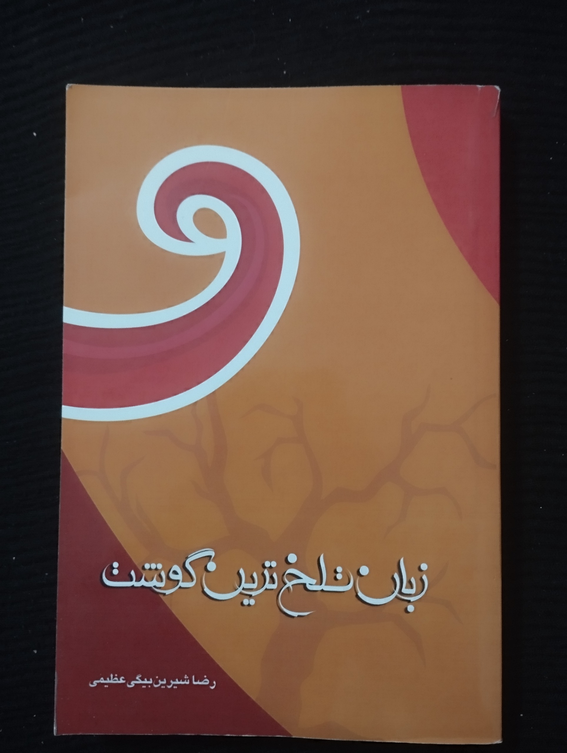 زبان تلخترین گوشت ــ (شیرین بیگی عظیمی)