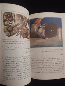 نور