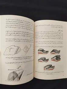 زمین