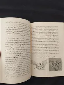 زمین