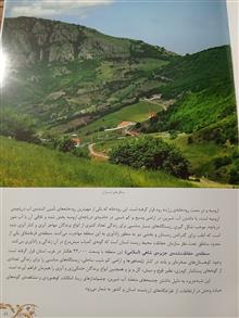 شناسنامه