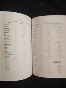 فرهنگ
