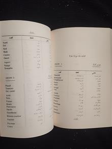 فرهنگ