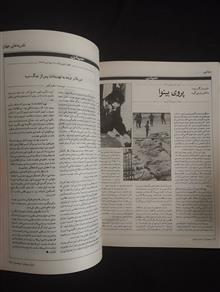صفحه